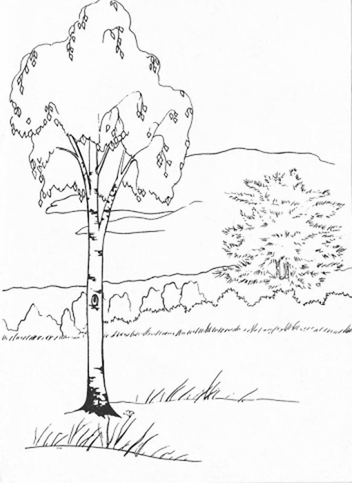 Amazing birch coloring page