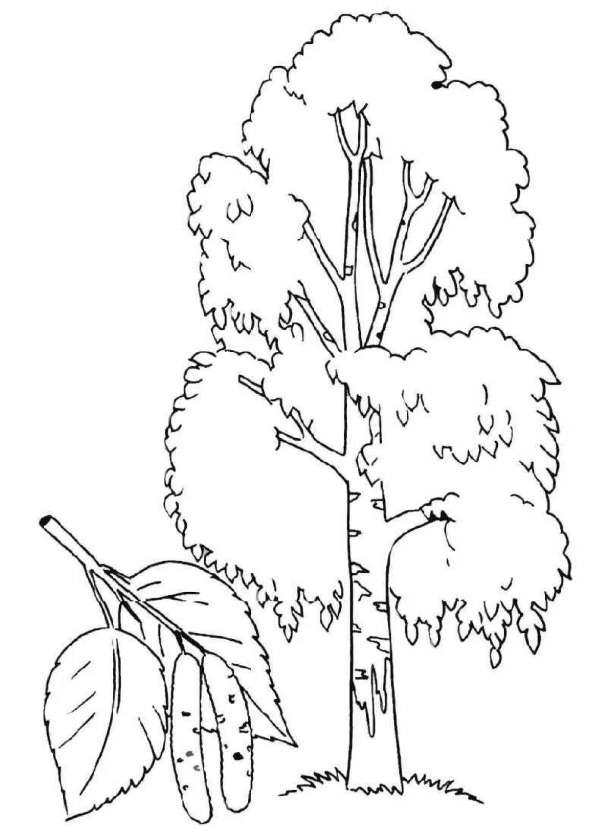 Drawing birch #4