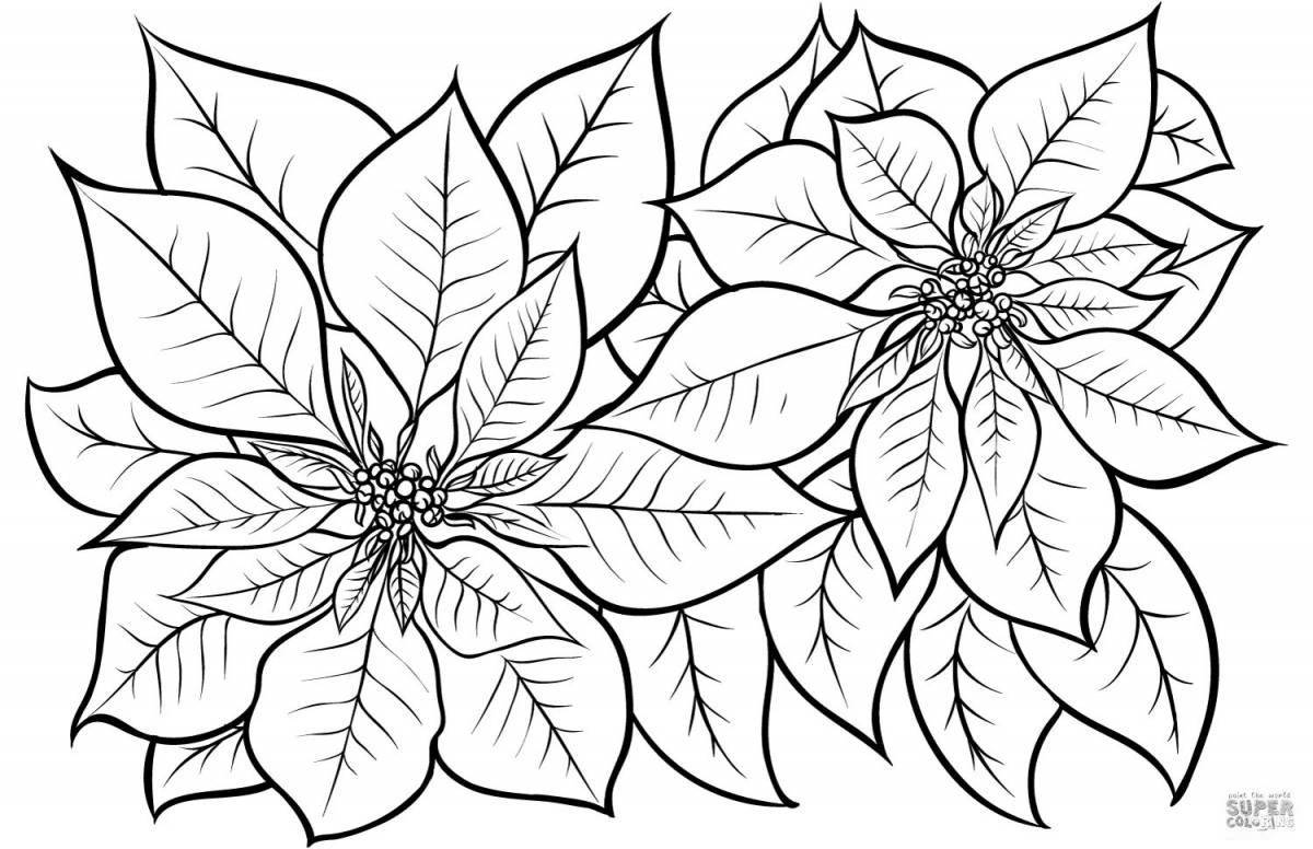 Christmas flowers coloring pages in bloom