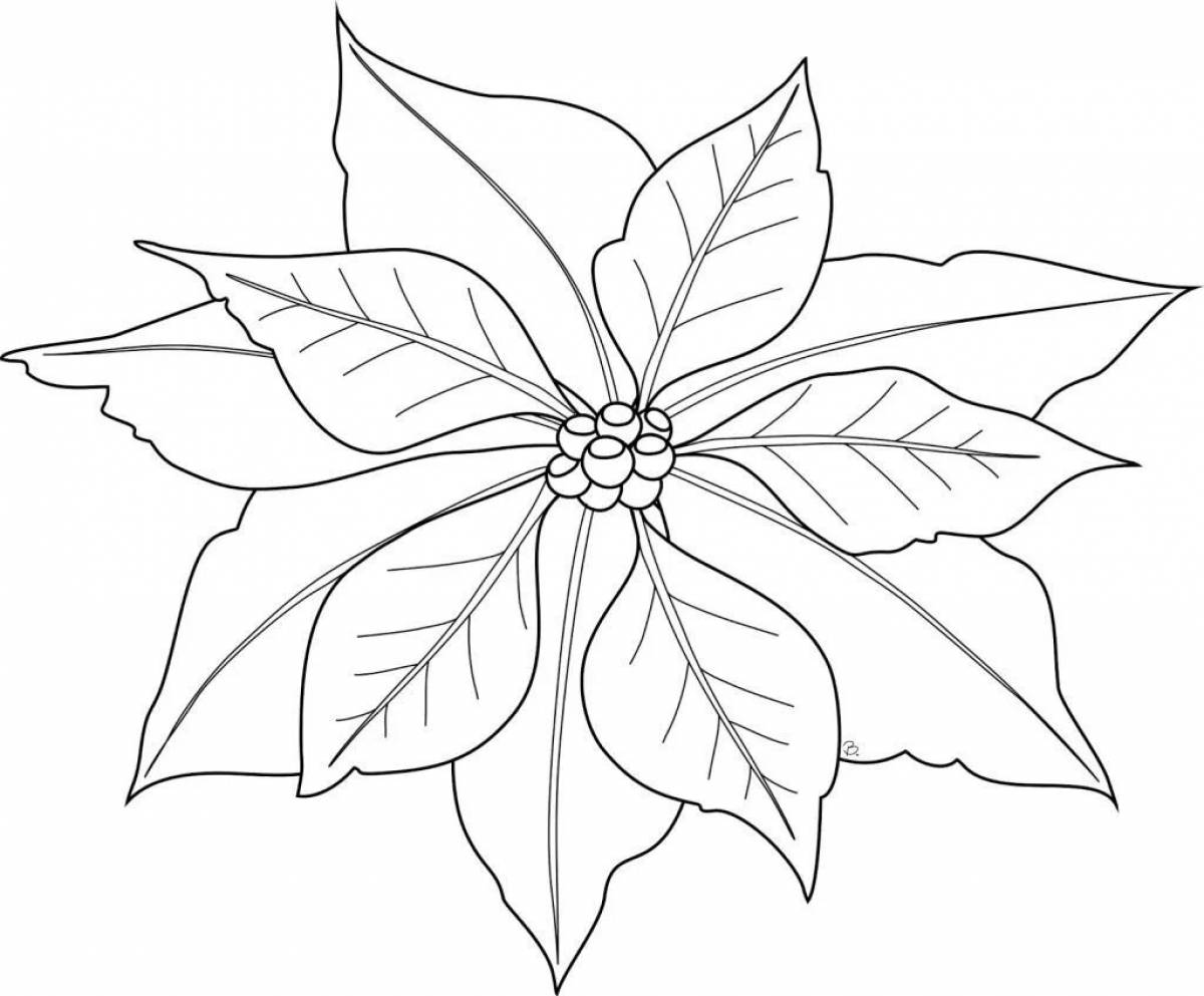 Decorated coloring book christmas flowers