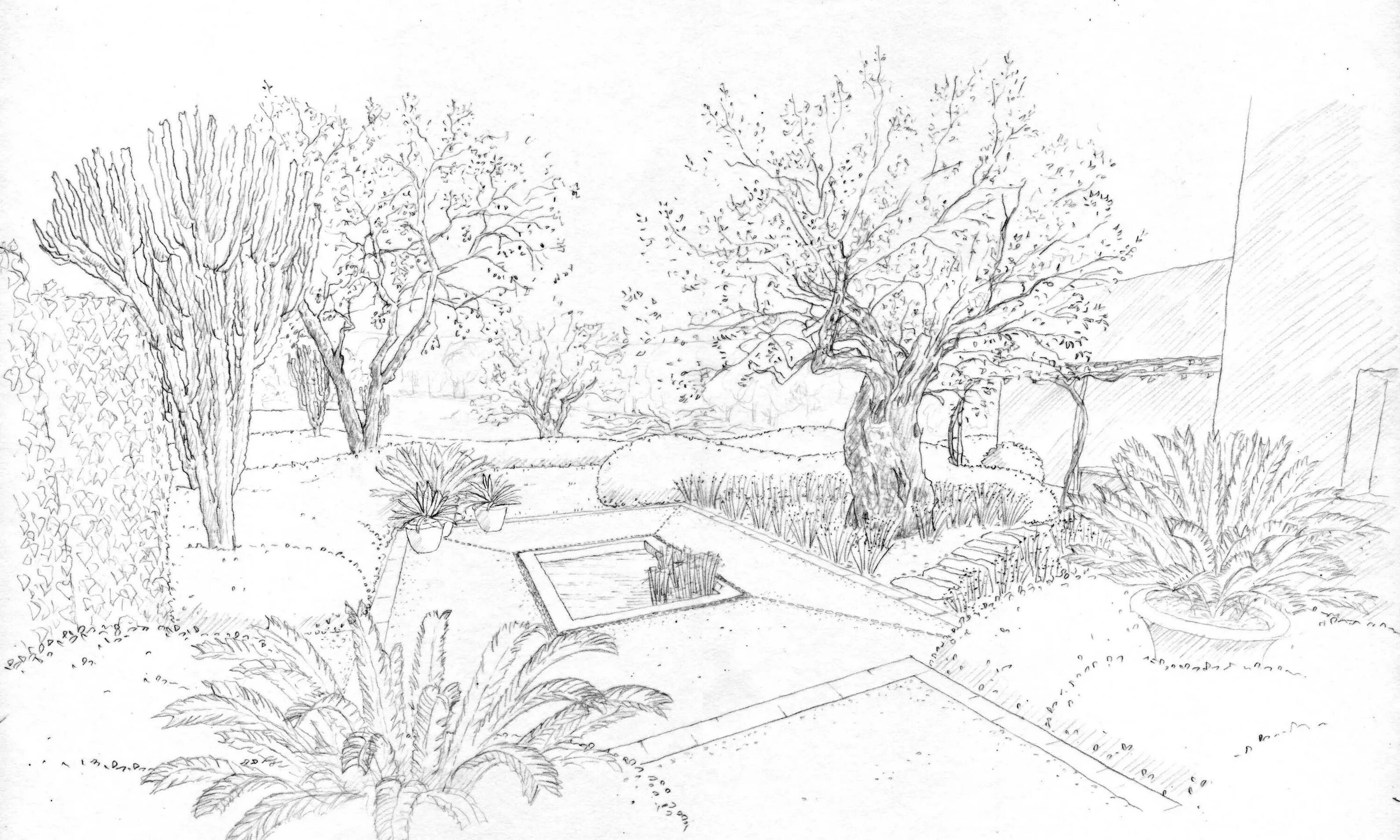 Exotic landscaping coloring book