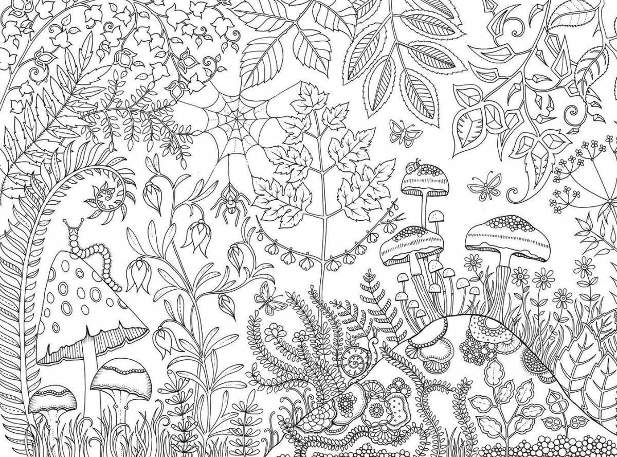 Coloring book peaceful garden of time