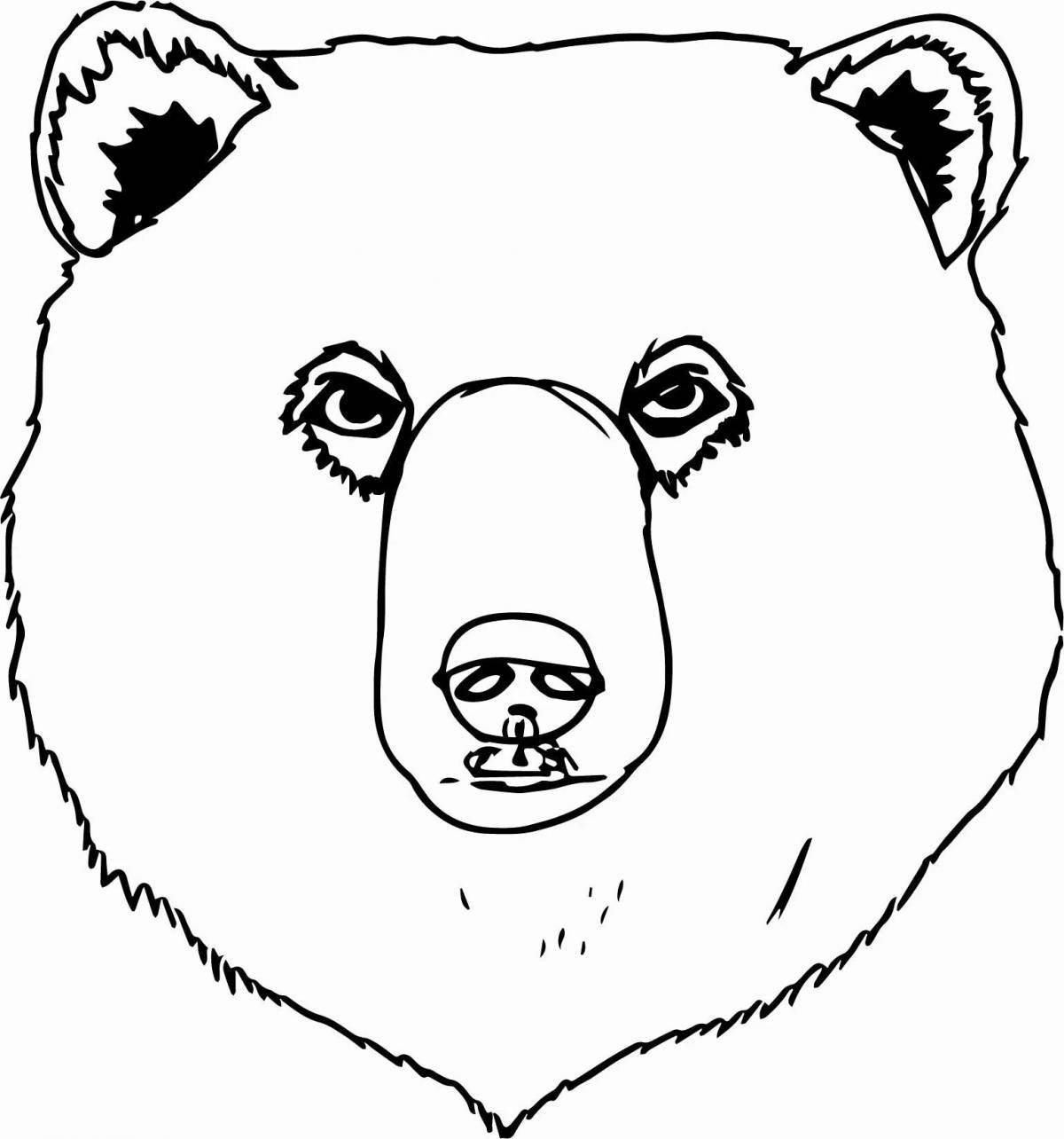 Красочная раскраска морда медведя
