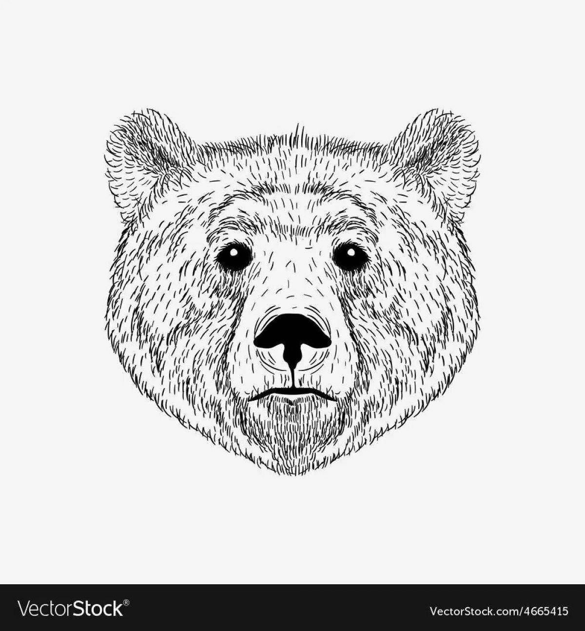 Пушистая раскраска морда медведя