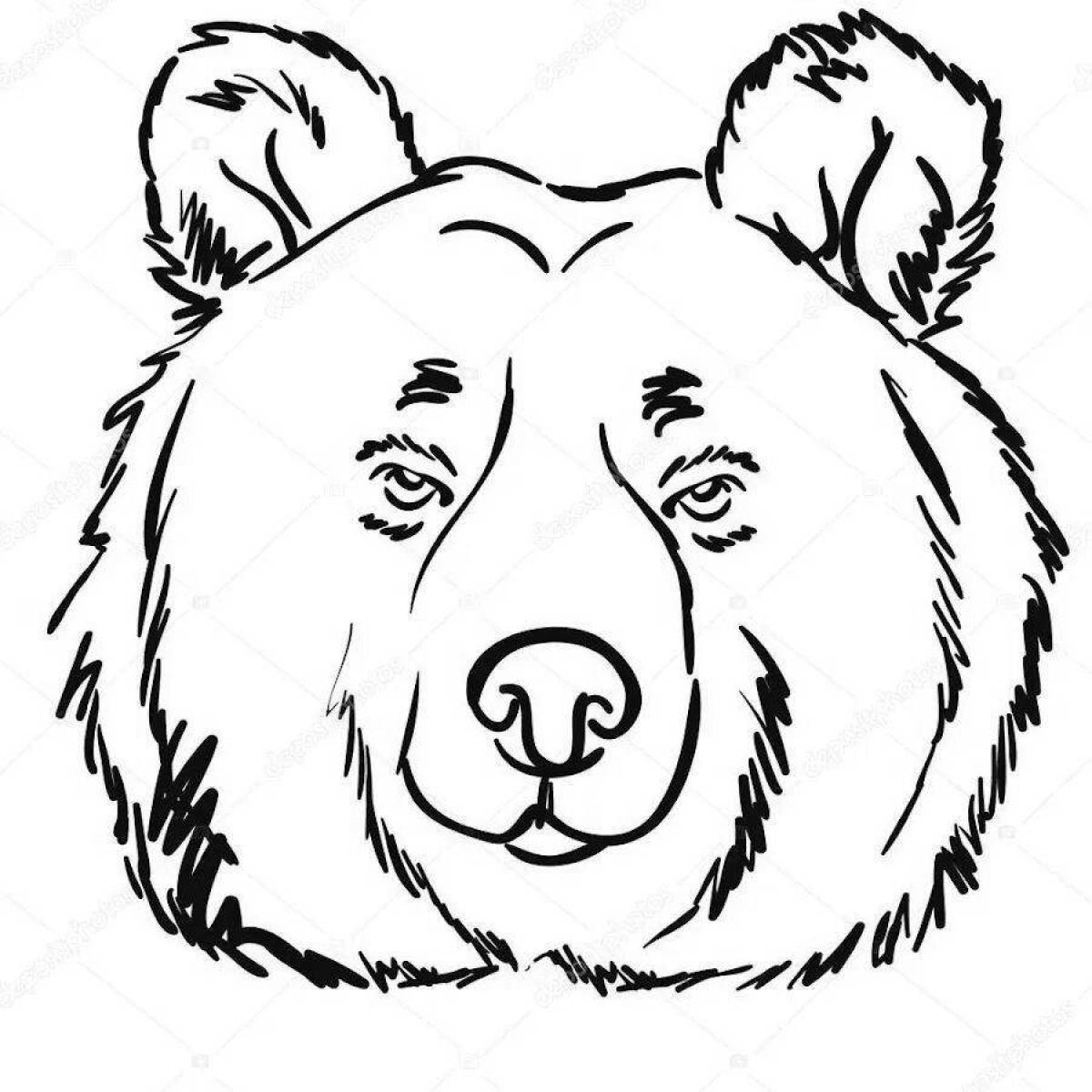 Увлекательная раскраска морда медведя
