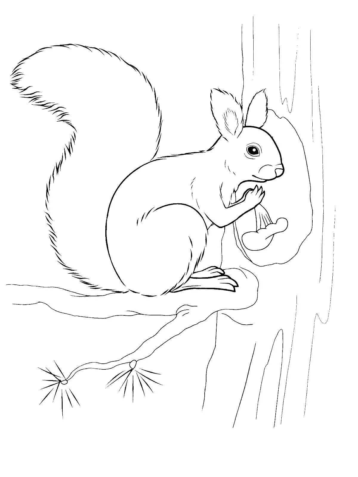 Coloring page playful winter squirrel