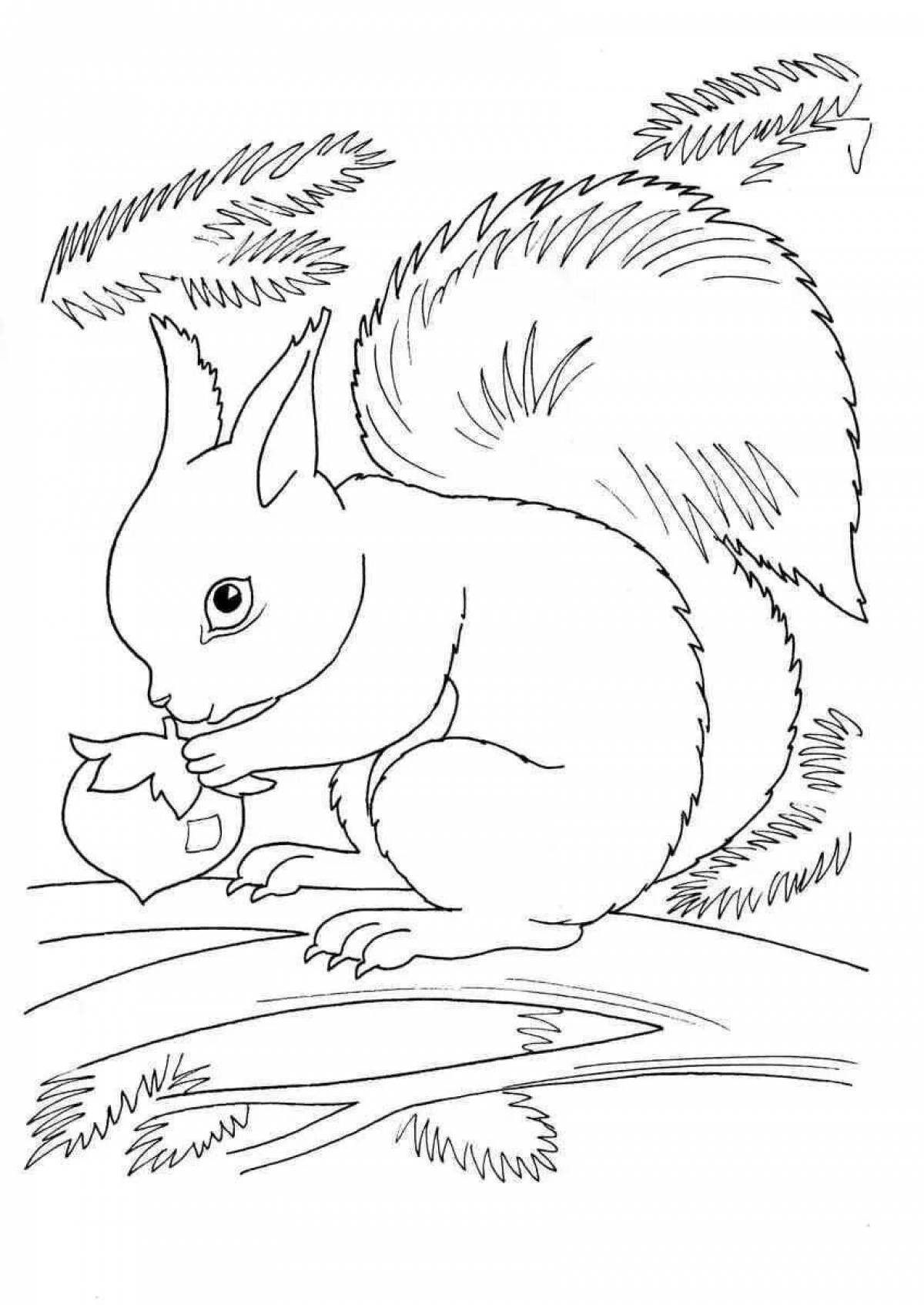 Adorable winter squirrel coloring book