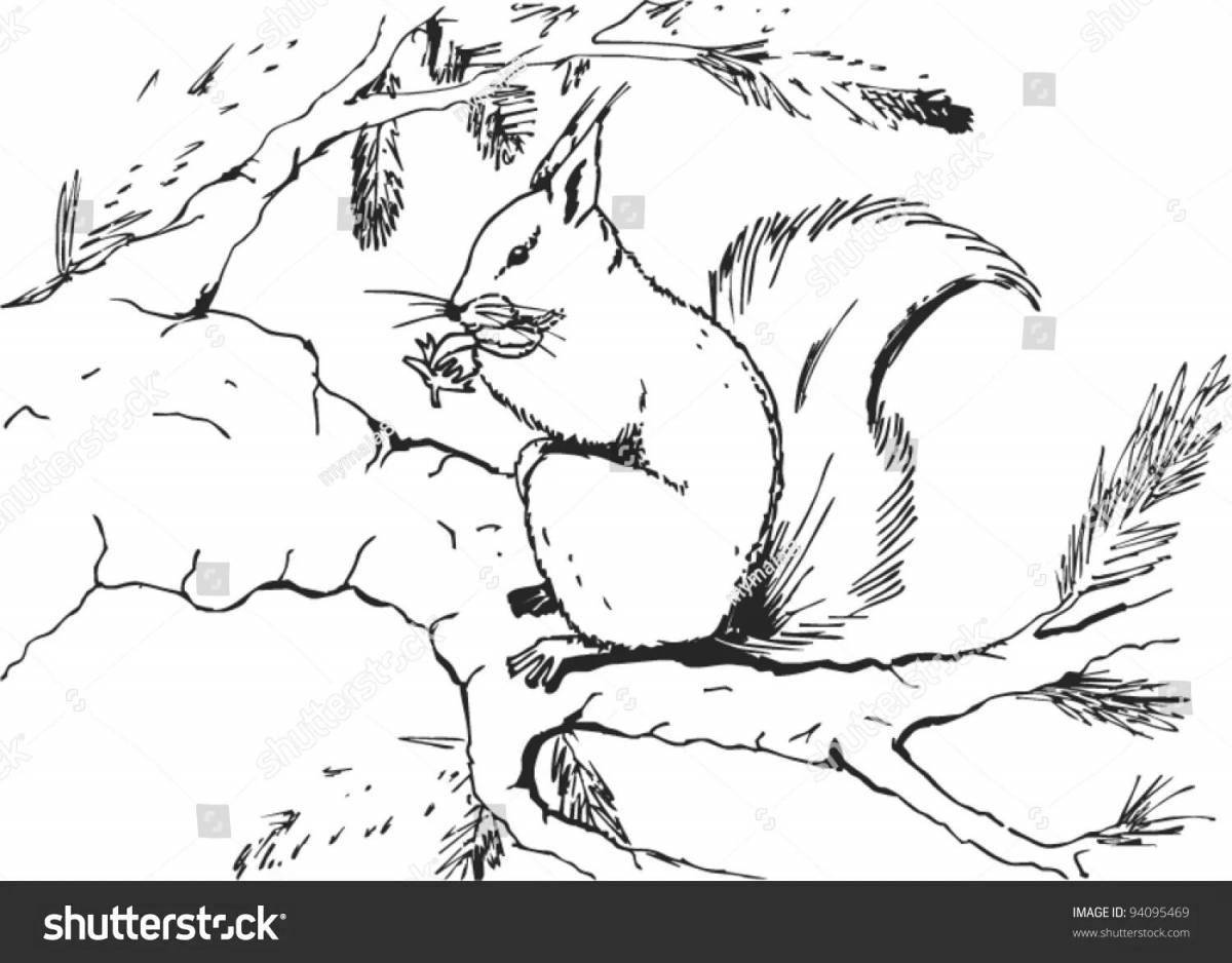 Snowy winter squirrel coloring page