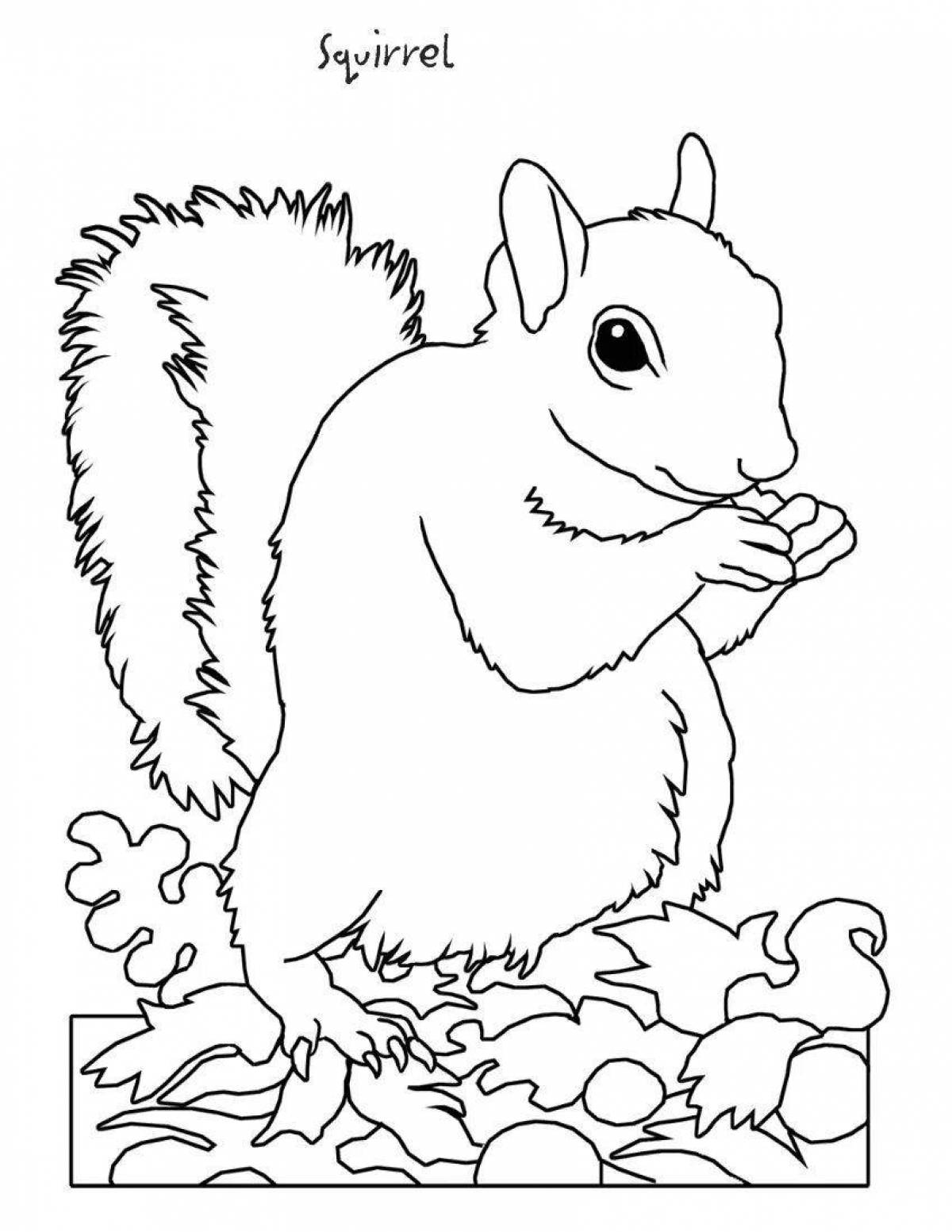Coloring page magical winter squirrel