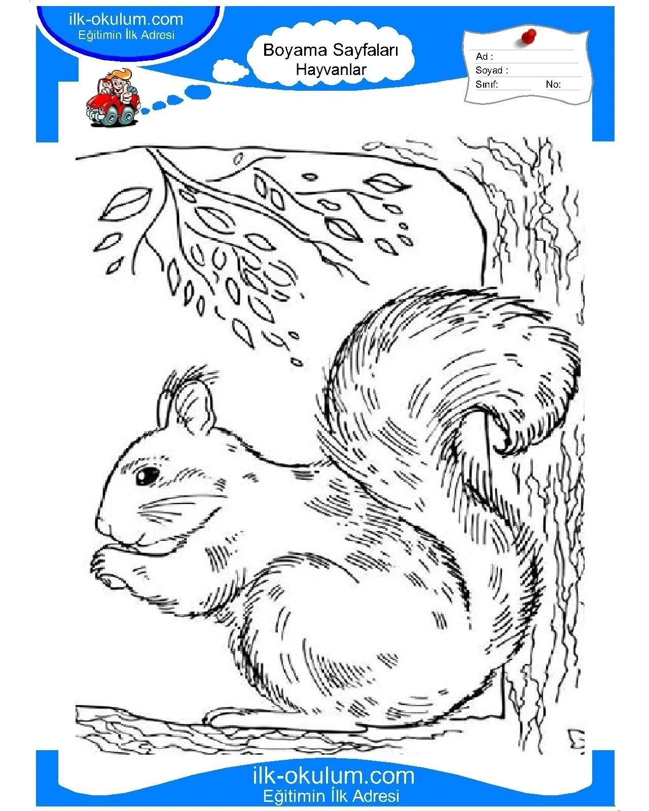 Dazzling winter squirrel coloring page