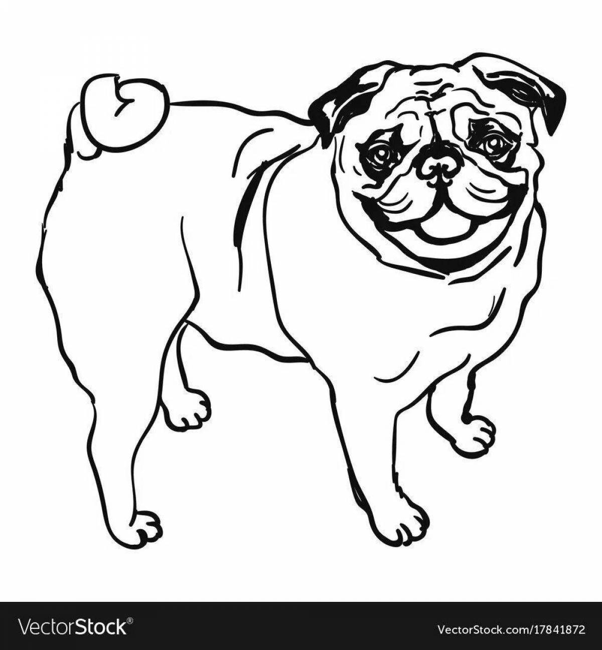 Coloring page playful pug