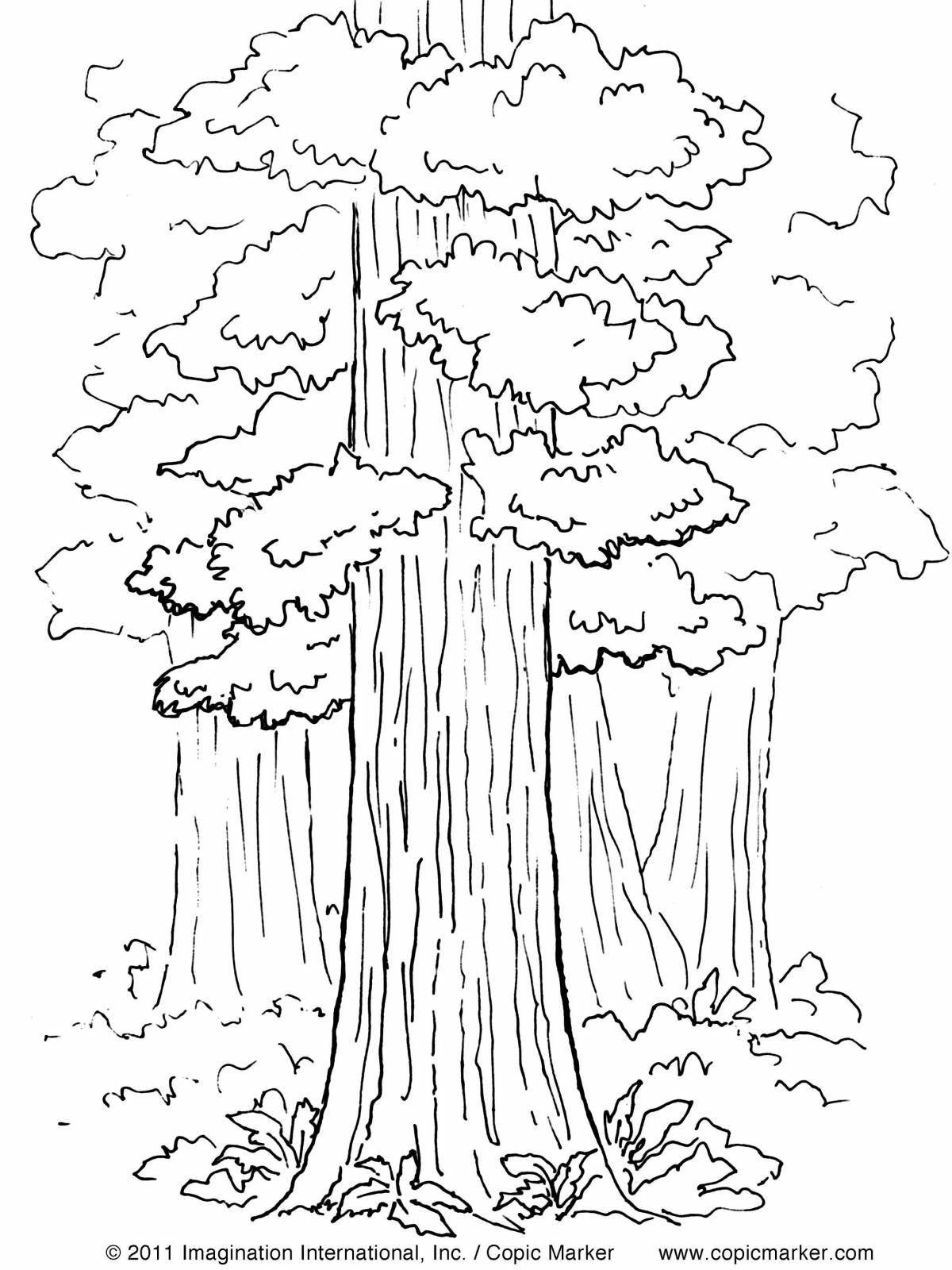 Coloring page cheerful pine forest