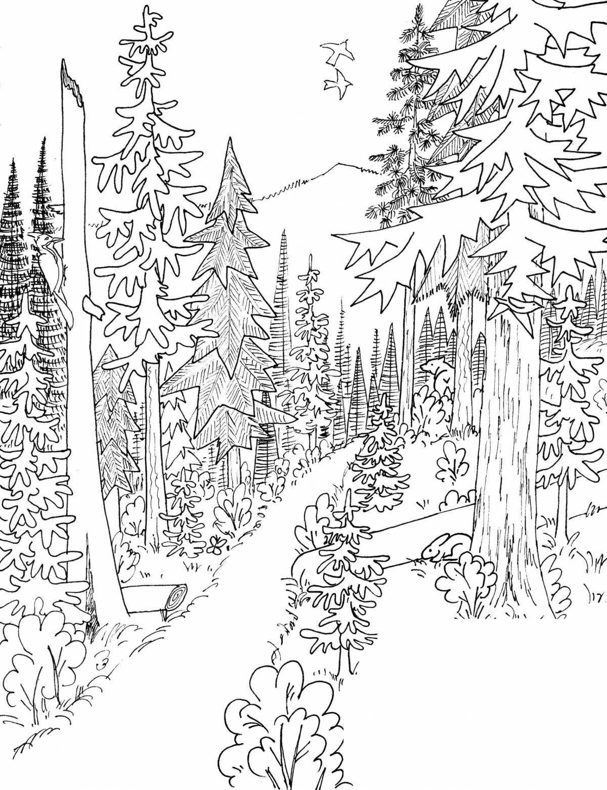 Awesome pine forest coloring page