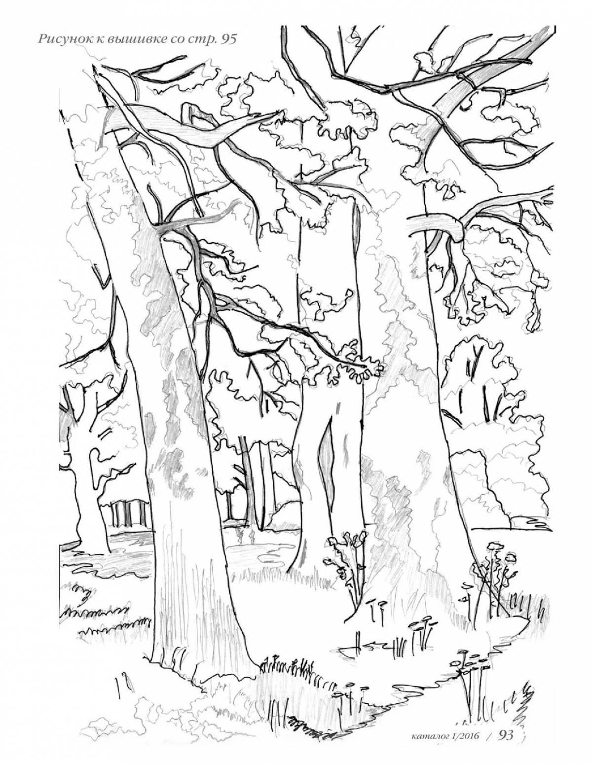 Coloring page beautiful pine forest