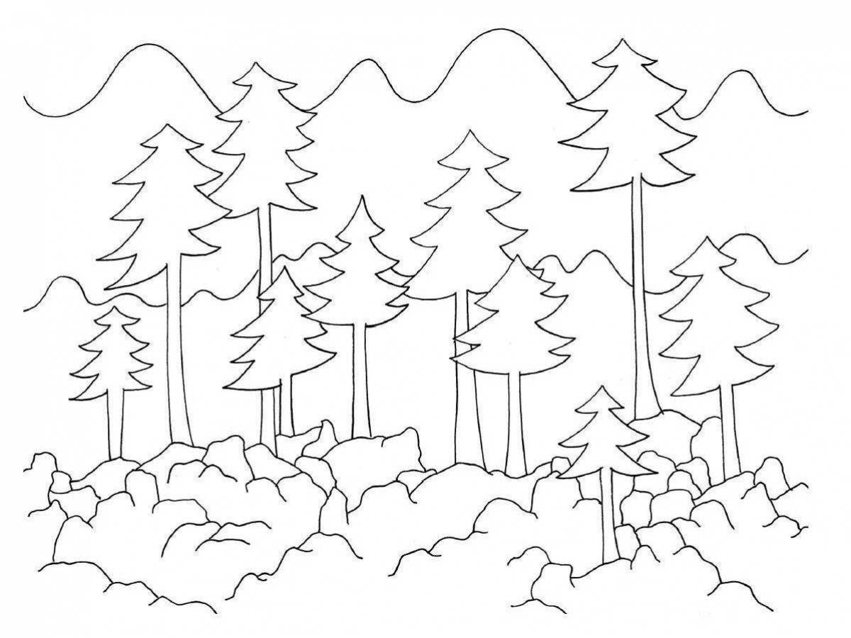 Colouring serene pine forest