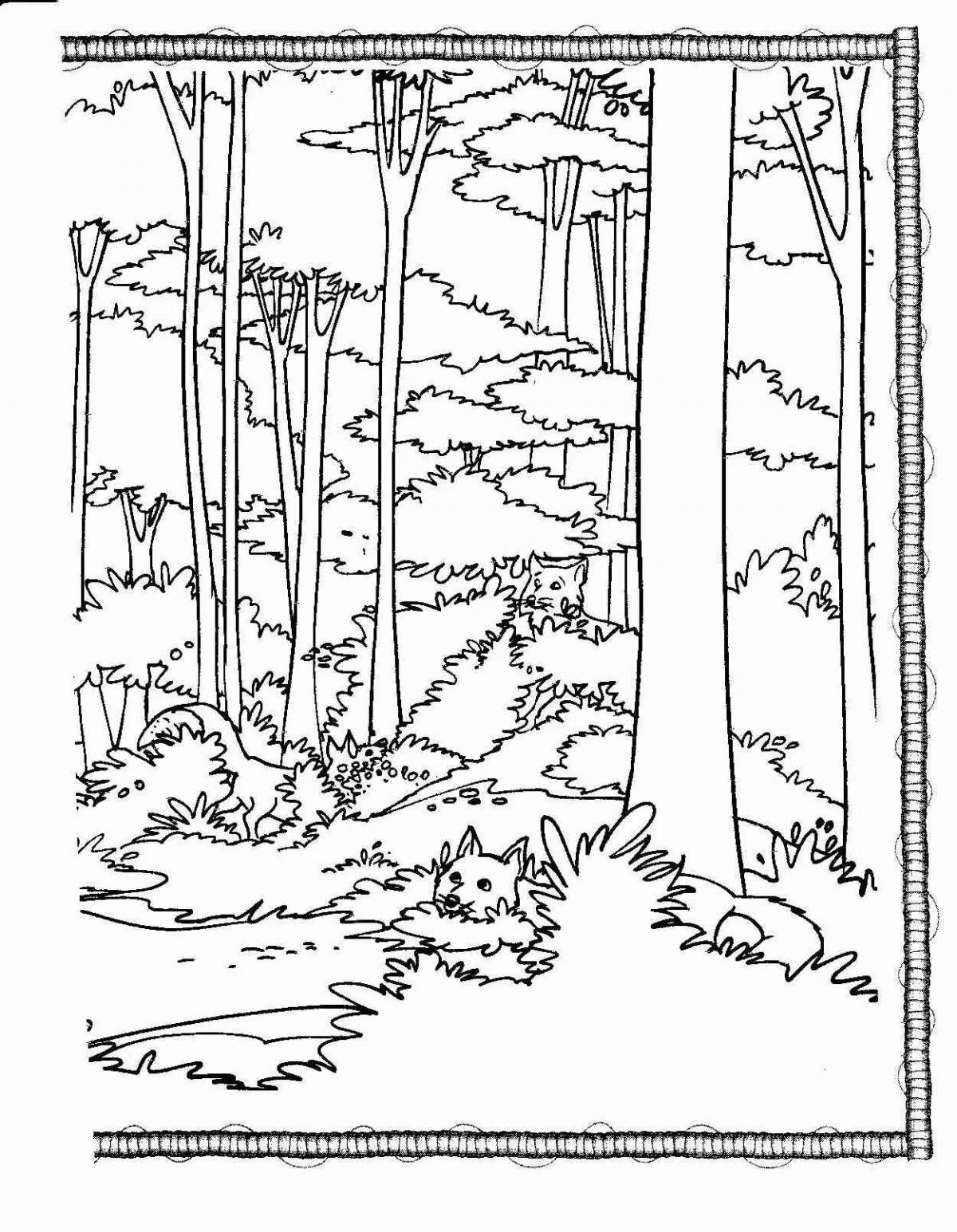 Colouring peaceful pine forest