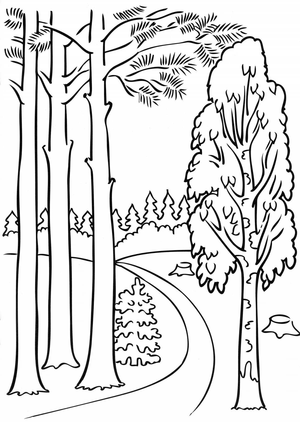 Refreshing pine forest coloring page