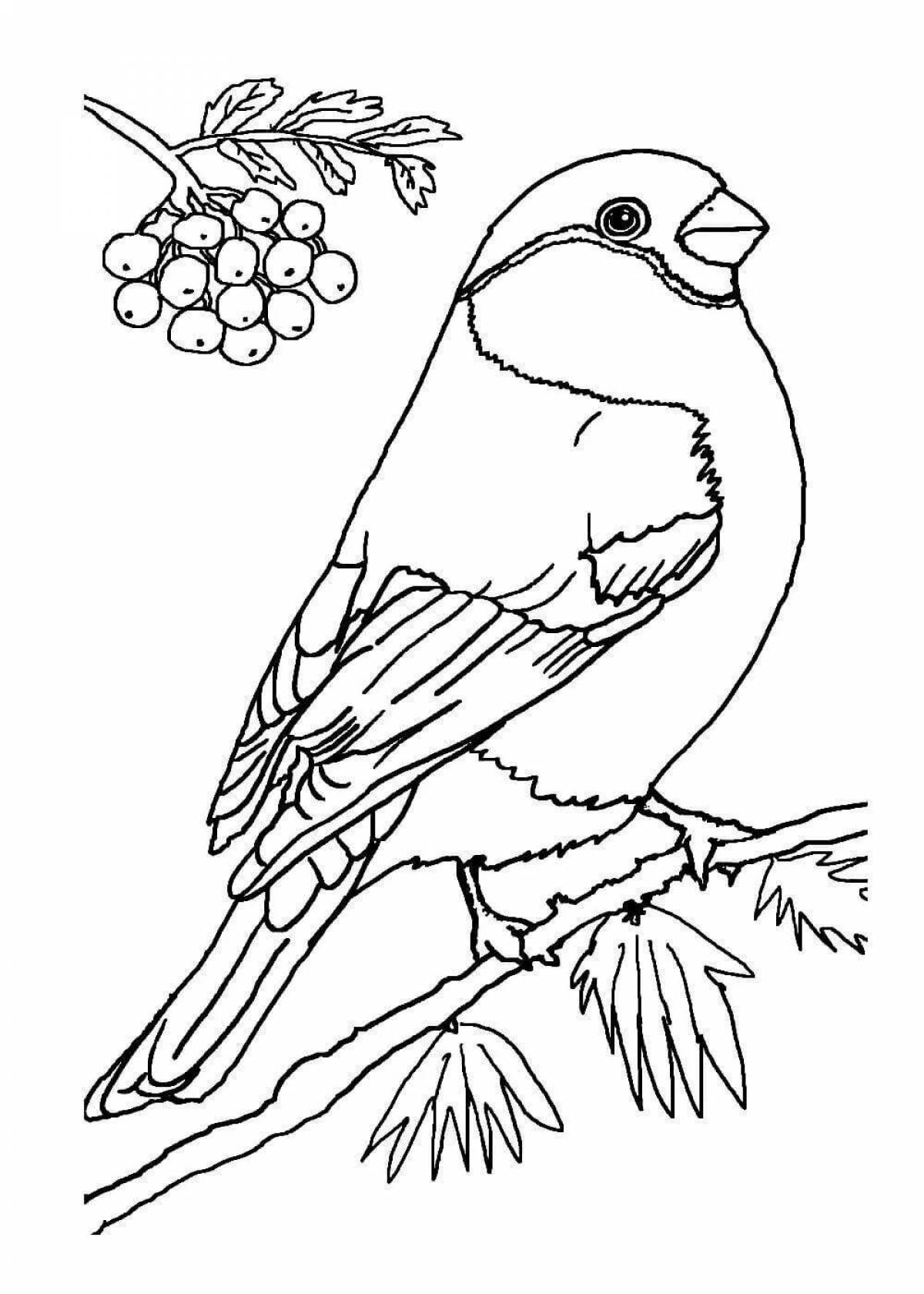 Coloring page with attractive pattern of tits