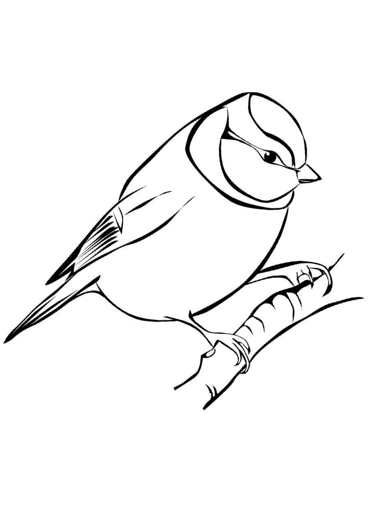 Coloring page with exciting drawing of tits