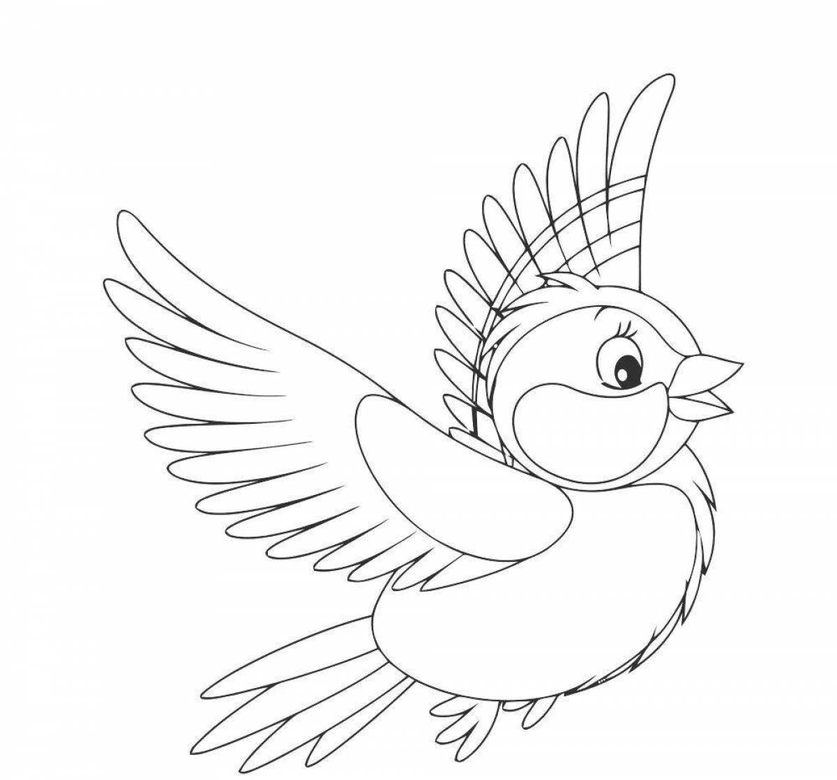 Fabulous Tits Coloring Page