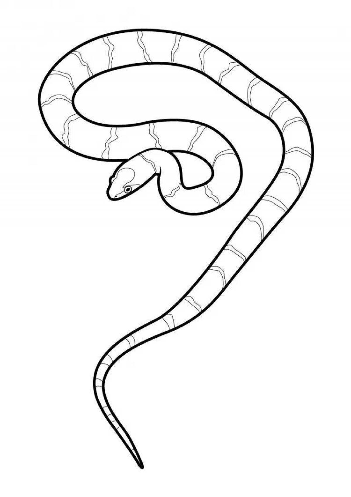 Трафарет змеи для раскрашивания