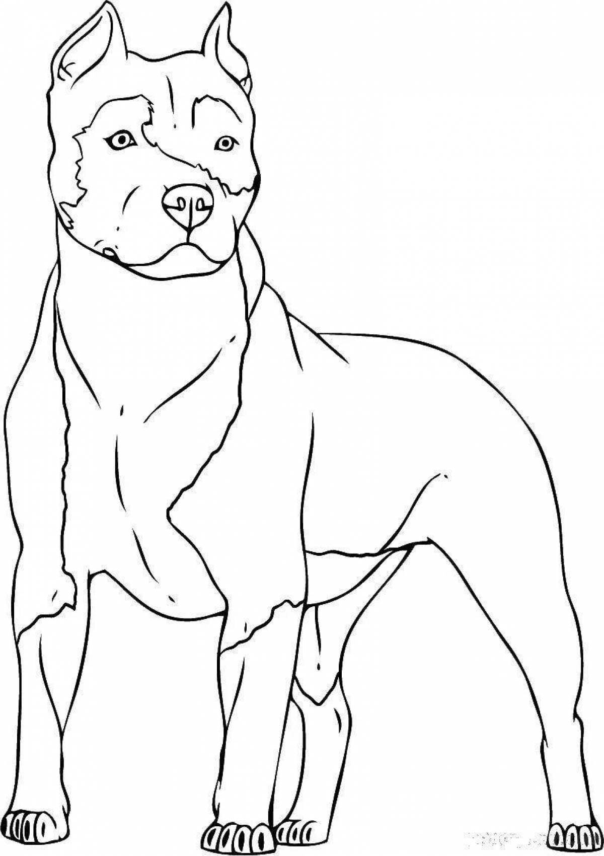 Colorful pit bull terrier coloring page