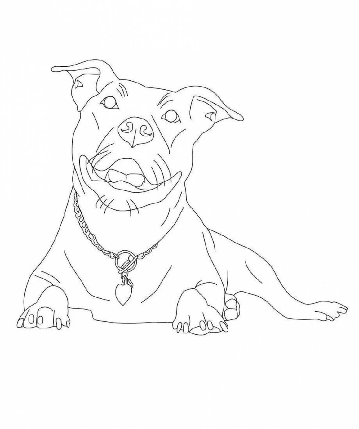 Coloring page playful pit bull dog