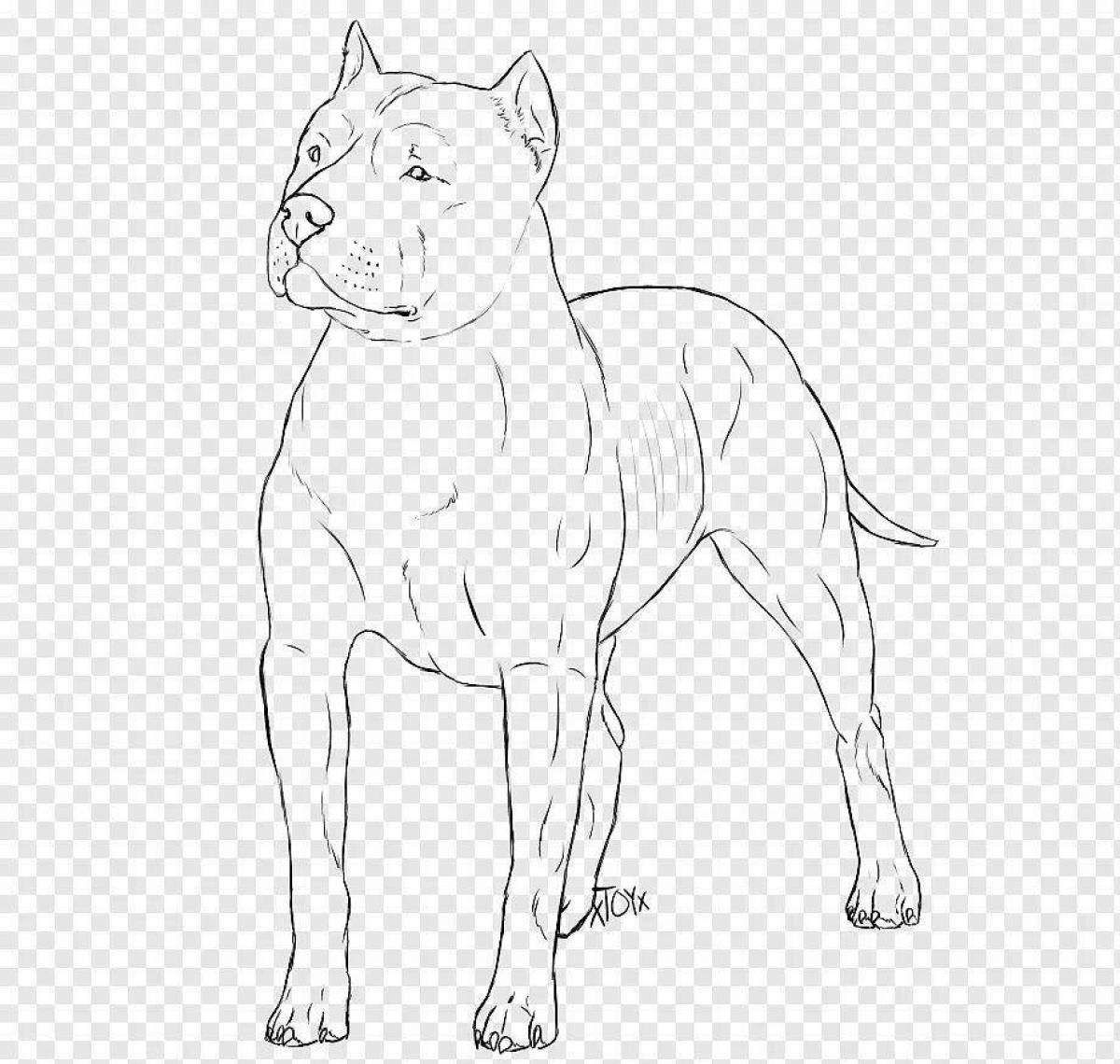 Adorable Pit Bull Terrier Coloring Page