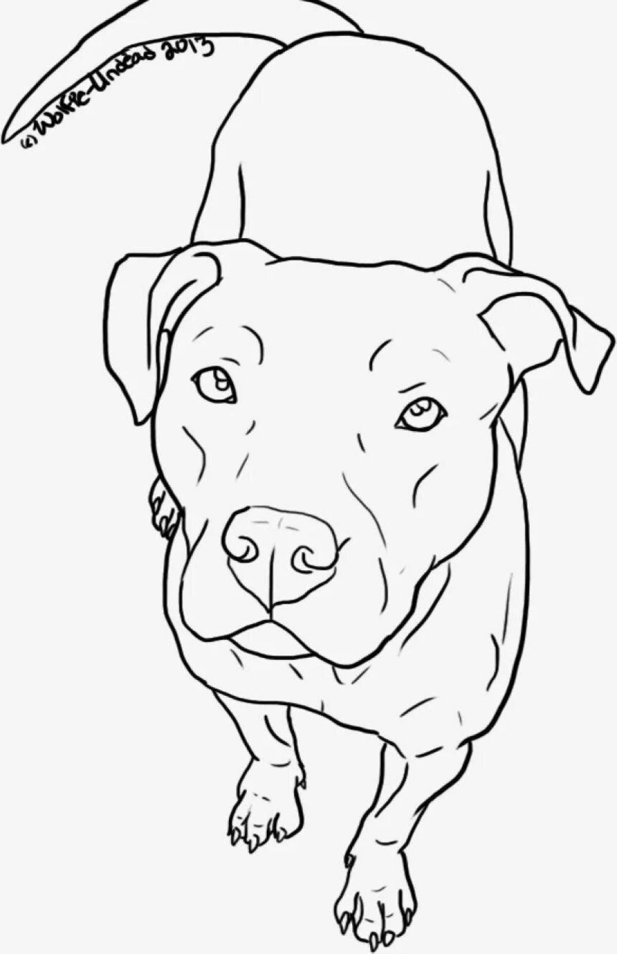 Vibrant pit bull coloring page