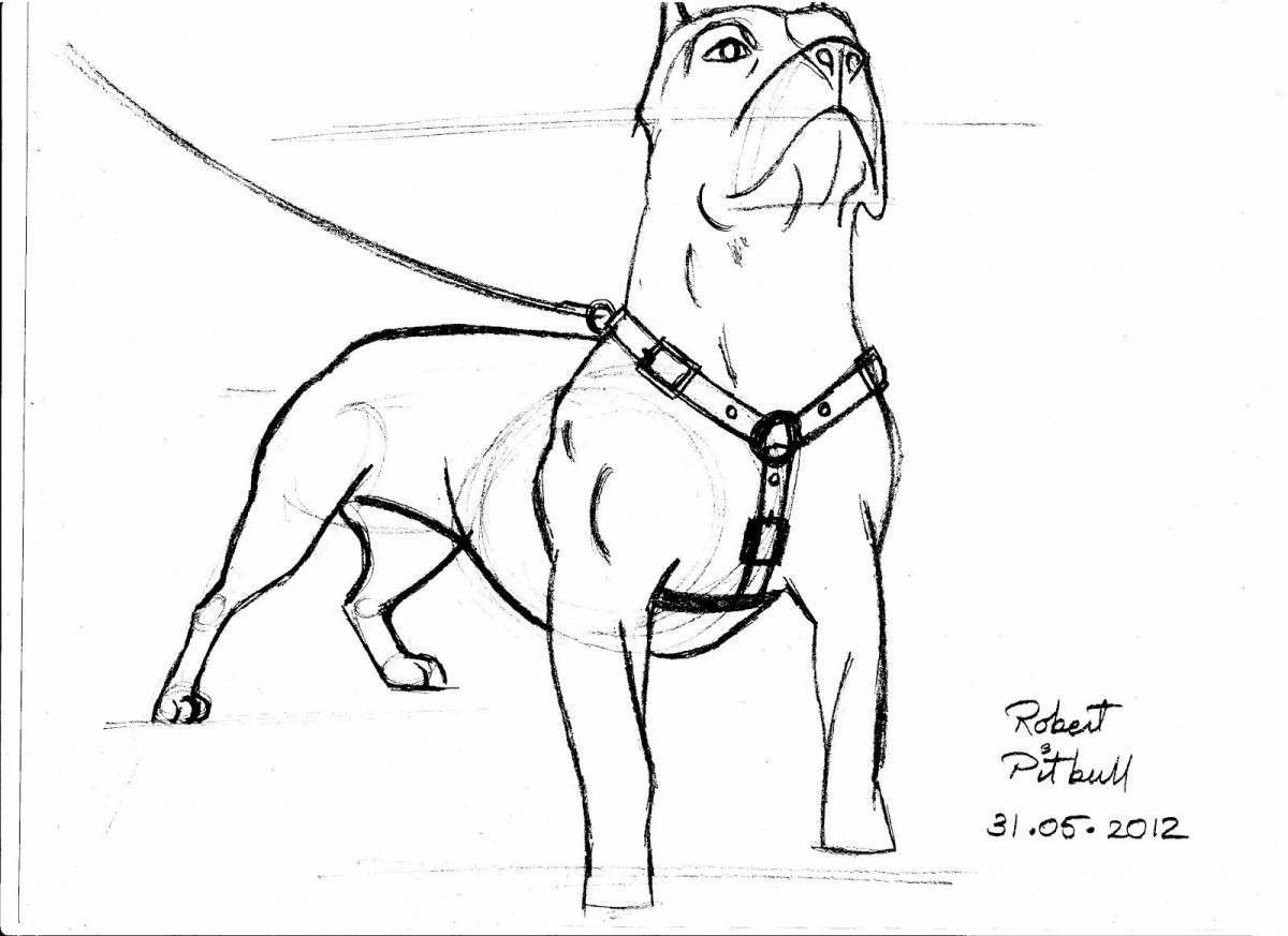Coloring page brave pit bull