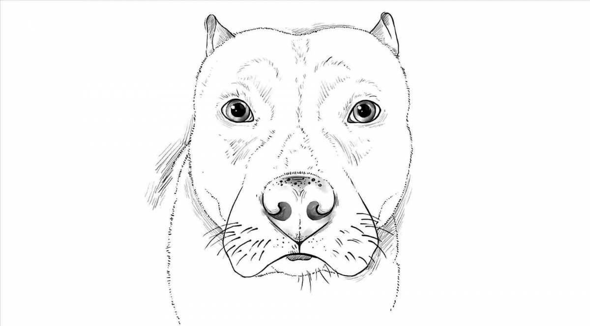 Great pit bull terrier coloring book