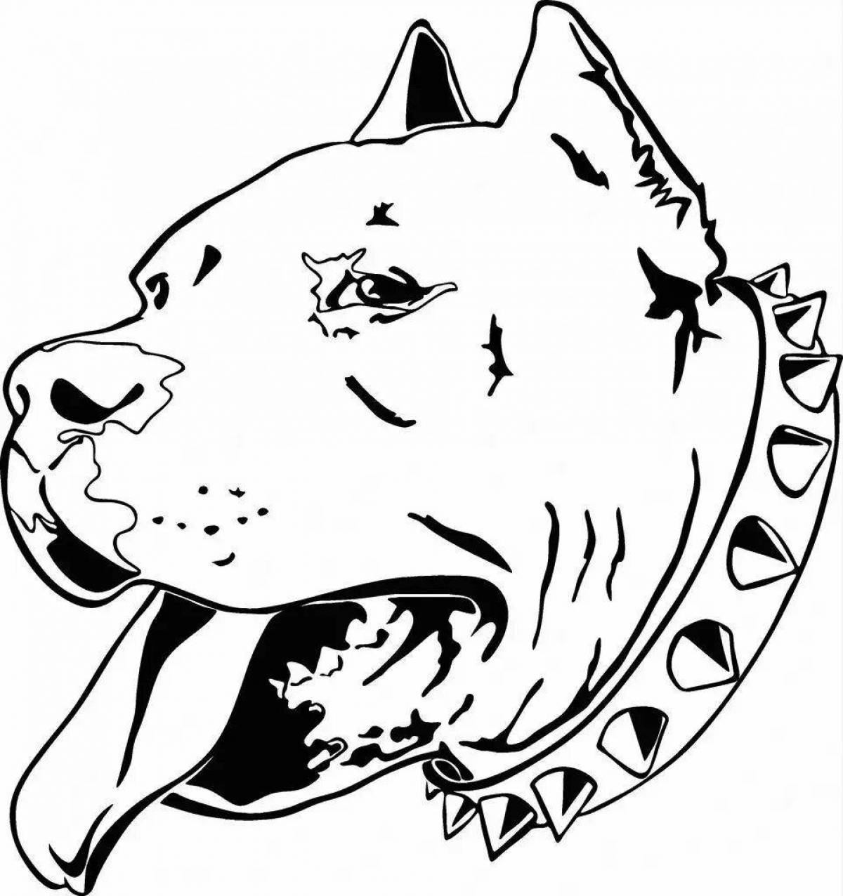 Coloring live pit bull terrier