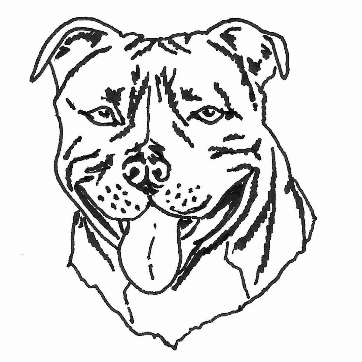 Coloring page energetic pit bull