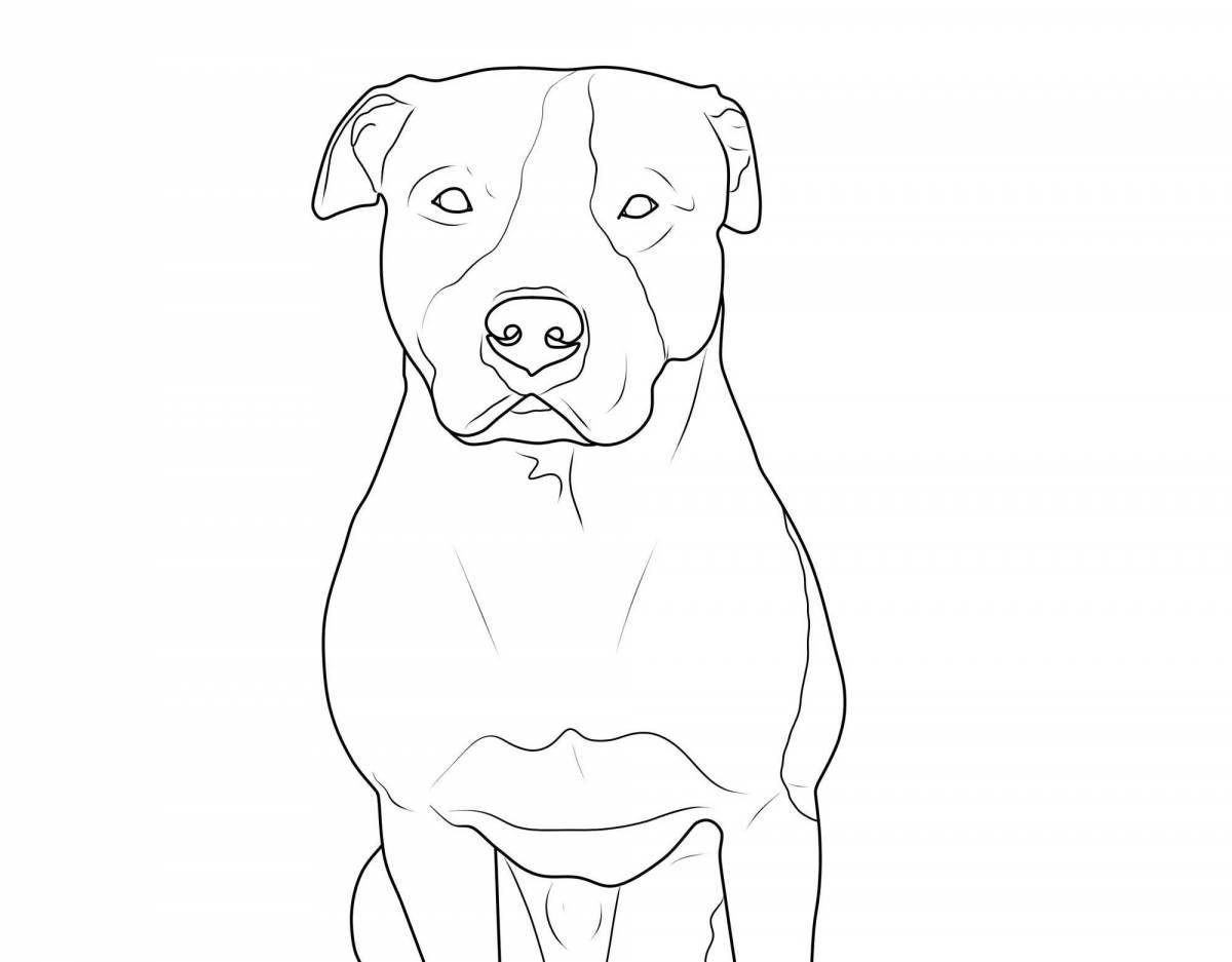 Courageous pit bull terrier coloring page