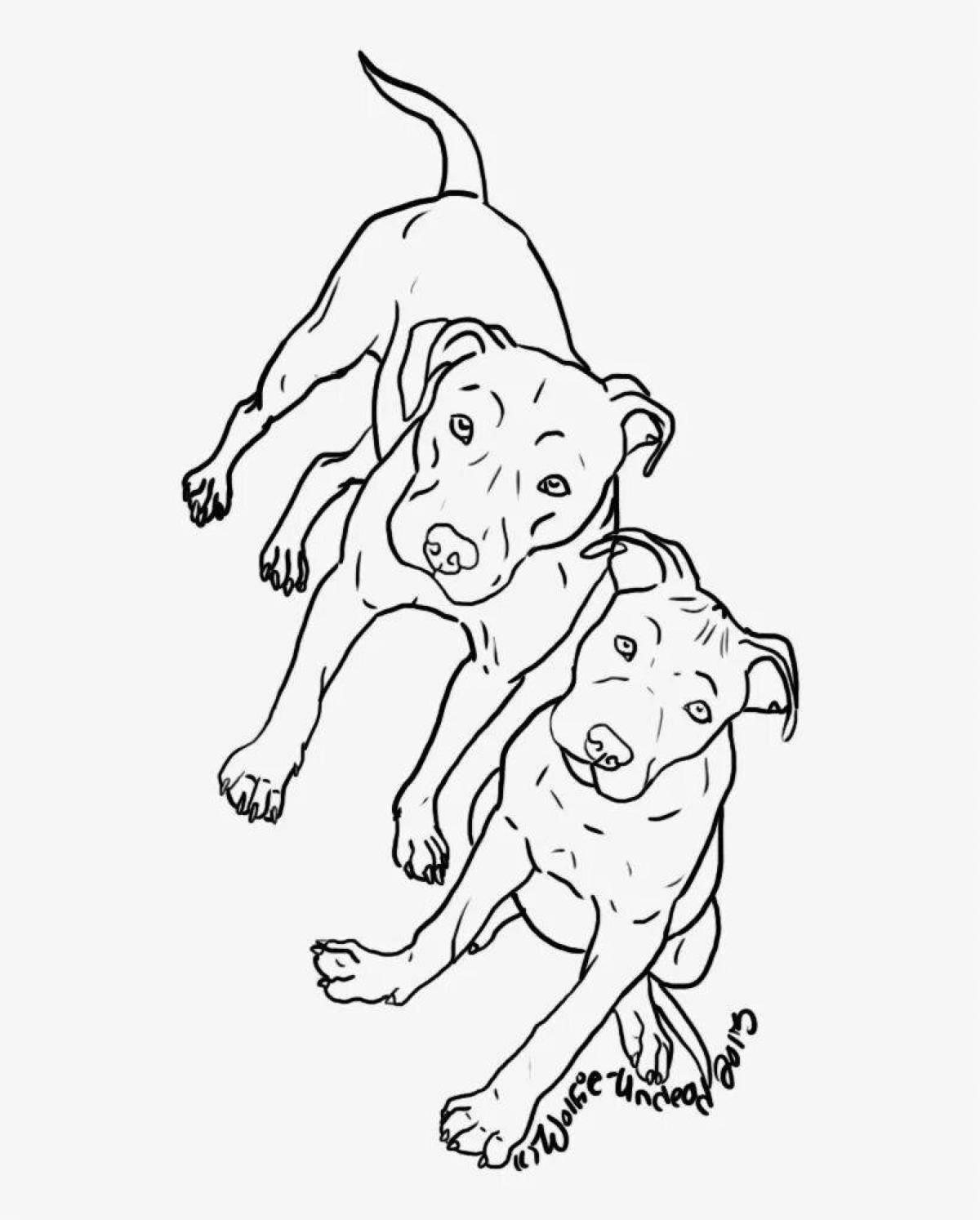 Coloring animated pit bull dog
