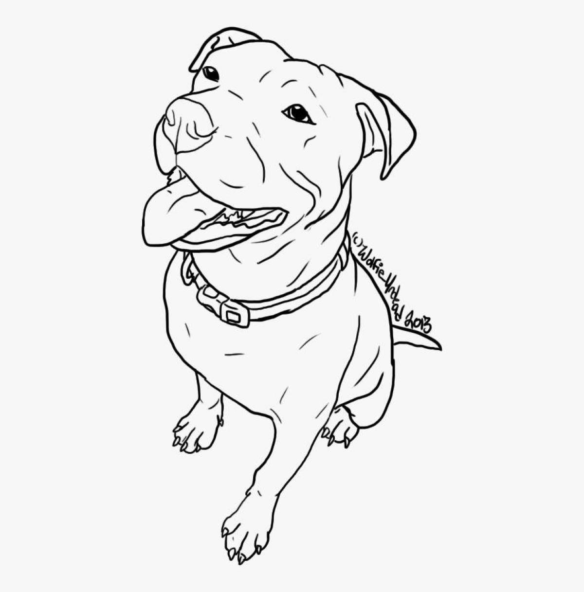 Coloring live pit bull