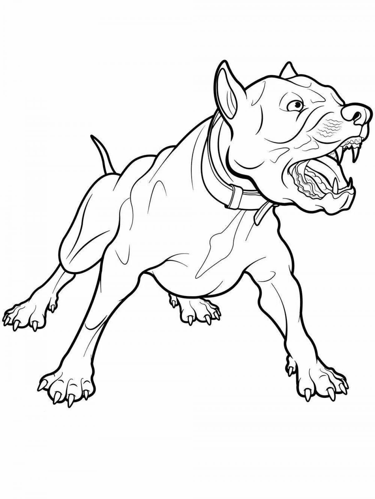 Photo Coloring page amazing pit bull dog