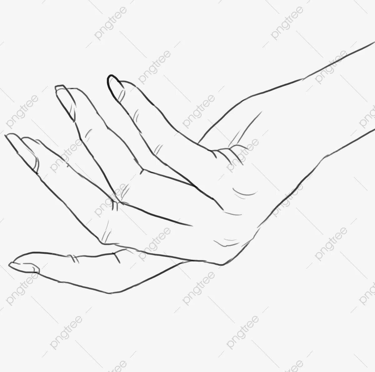 Раскраска элегантная женская рука
