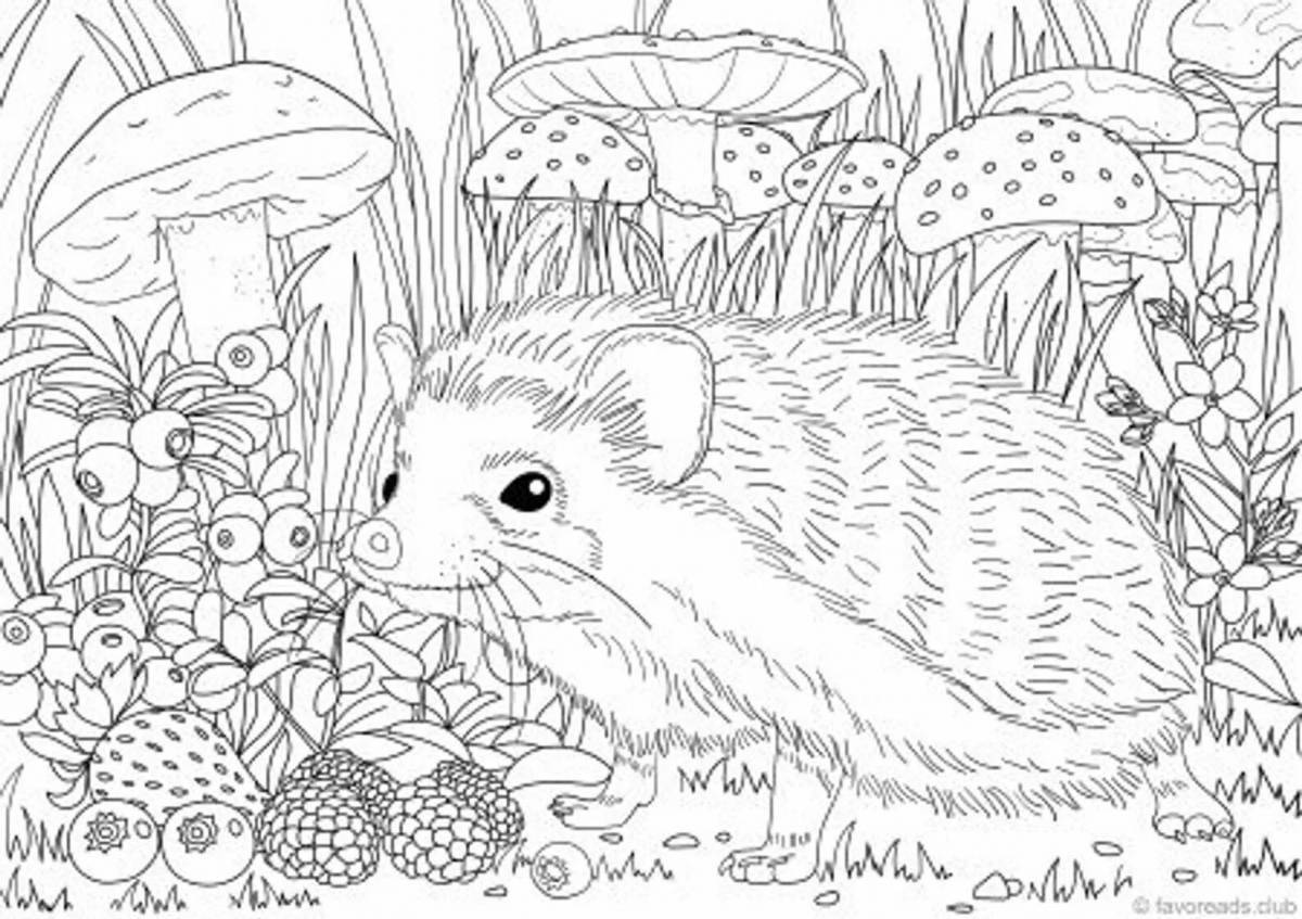 Coloring book cheerful antistress hedgehog