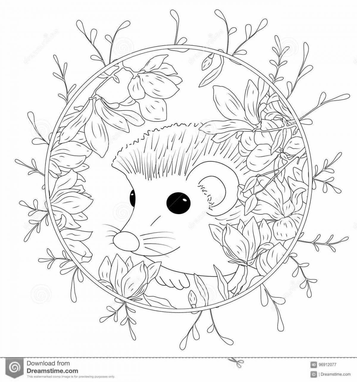 Adorable anti-stress hedgehog coloring book