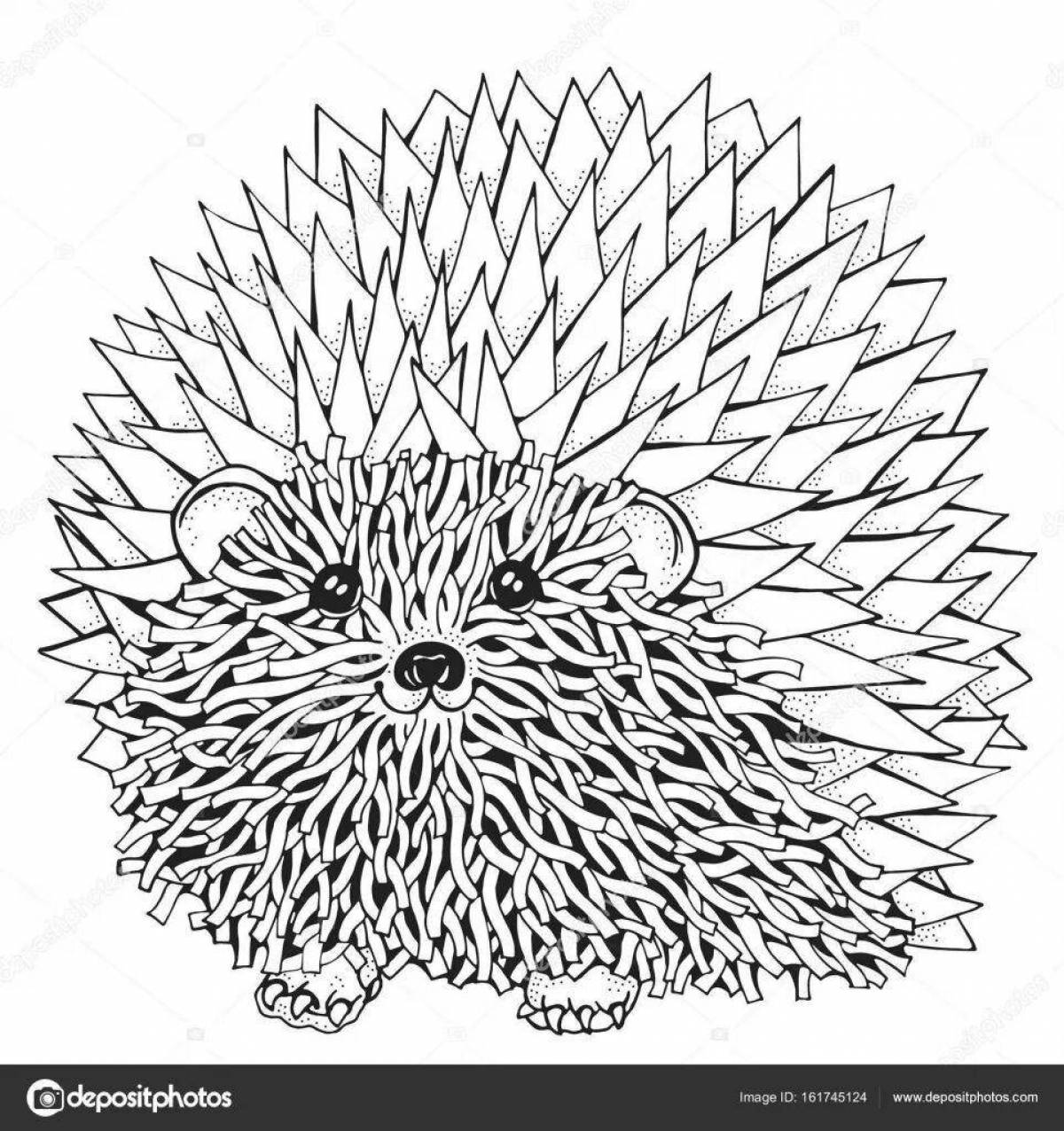 Coloring radiant anti-stress hedgehog