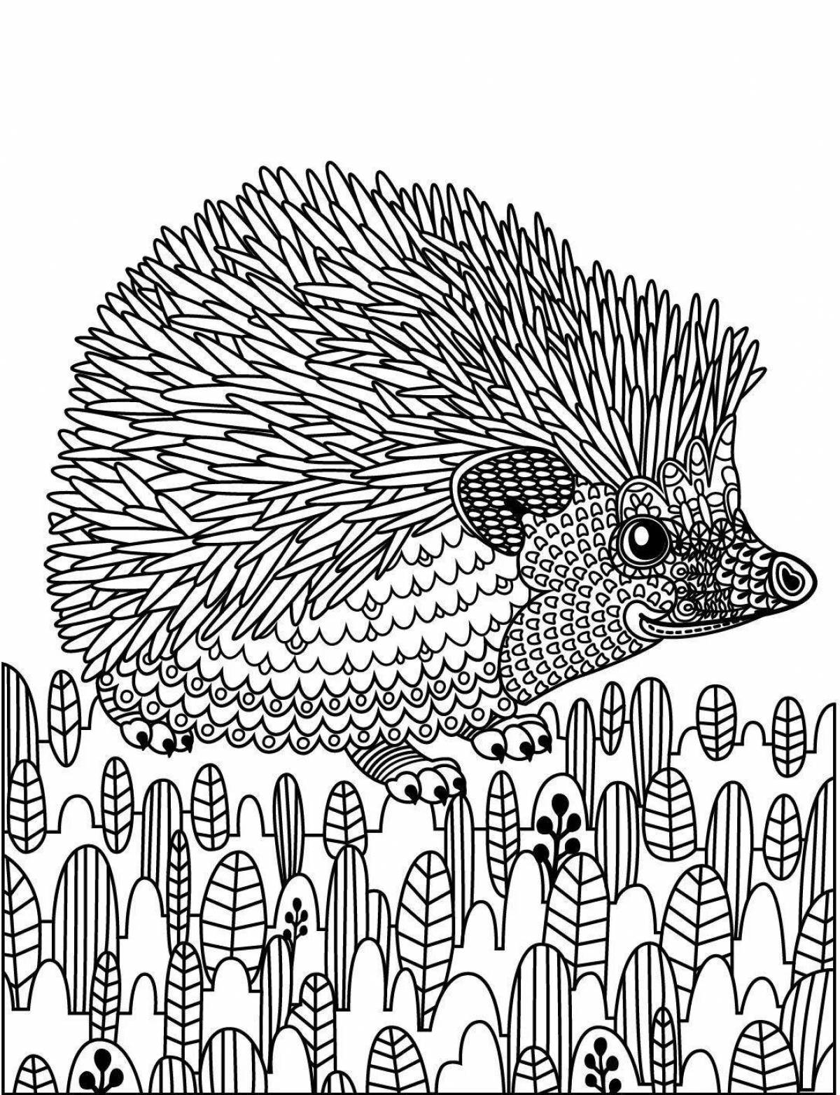 Coloring book charming antistress hedgehog