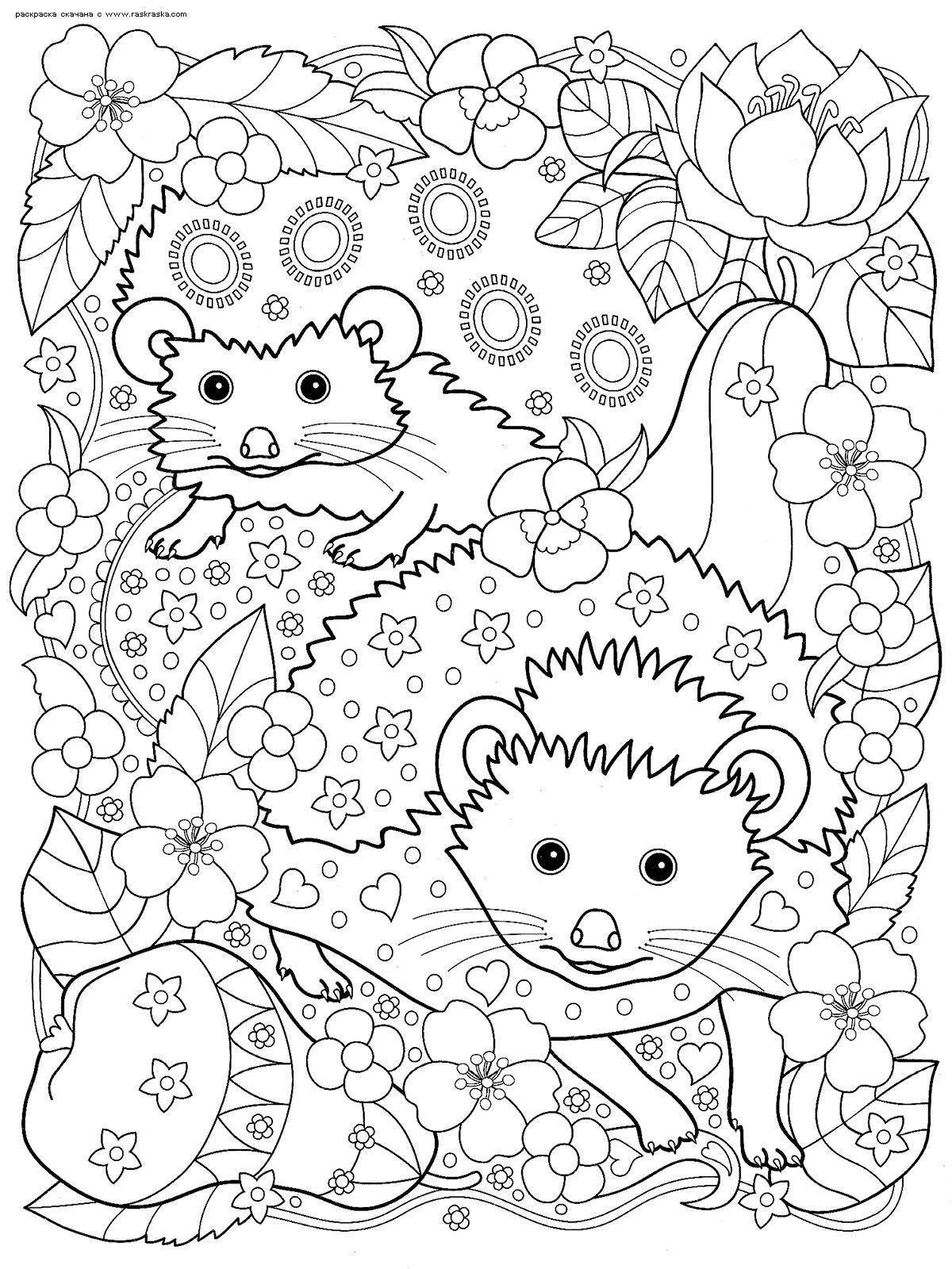Coloring book funny anti-stress hedgehog
