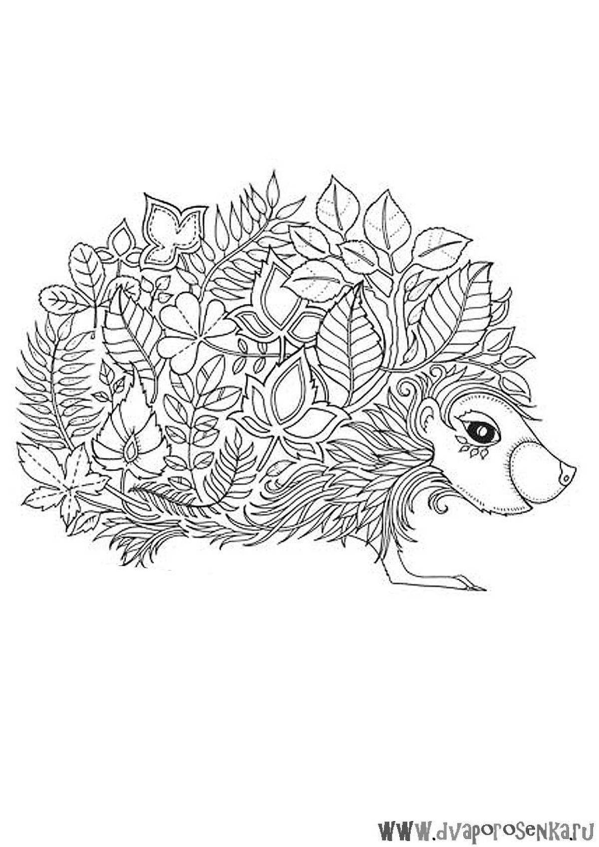 Fantastic anti-stress hedgehog coloring book