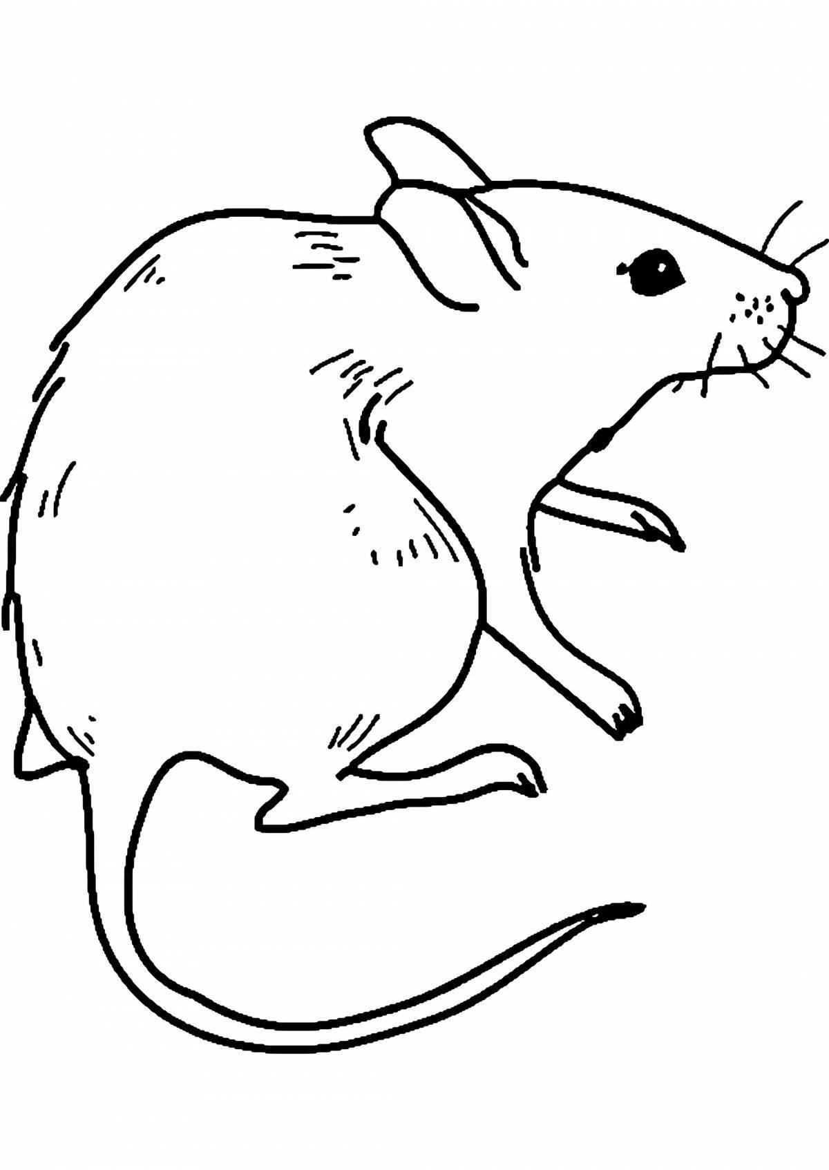 Colorful mouse vole coloring book