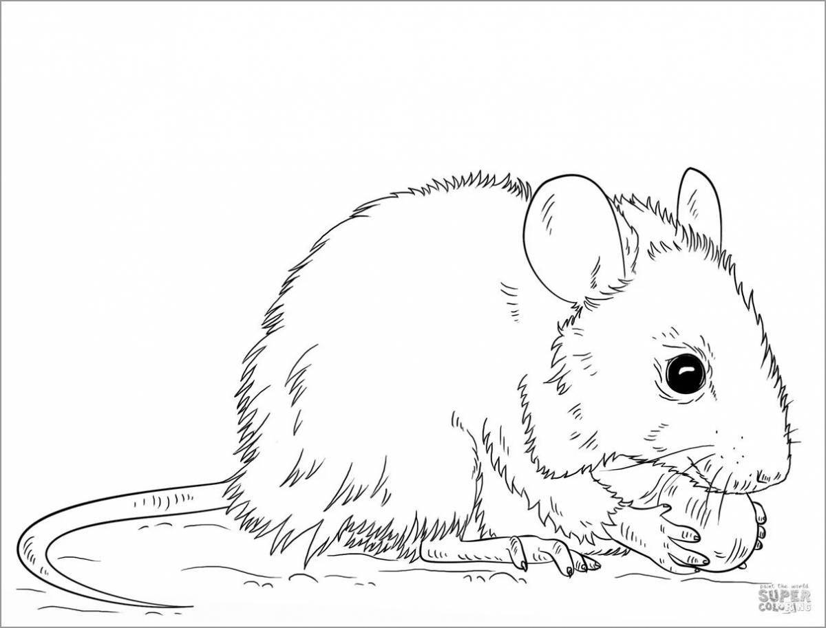 Charming mouse vole coloring book