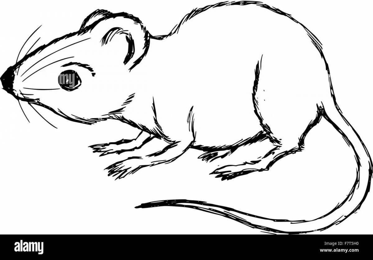 Violent mouse vole coloring book
