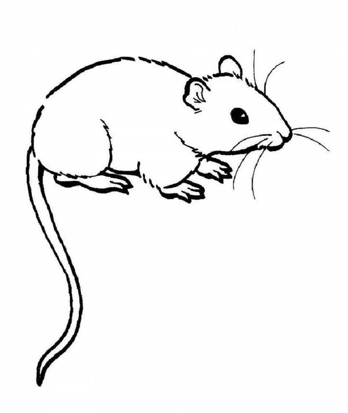 Остроумная раскраска мышь-полевка