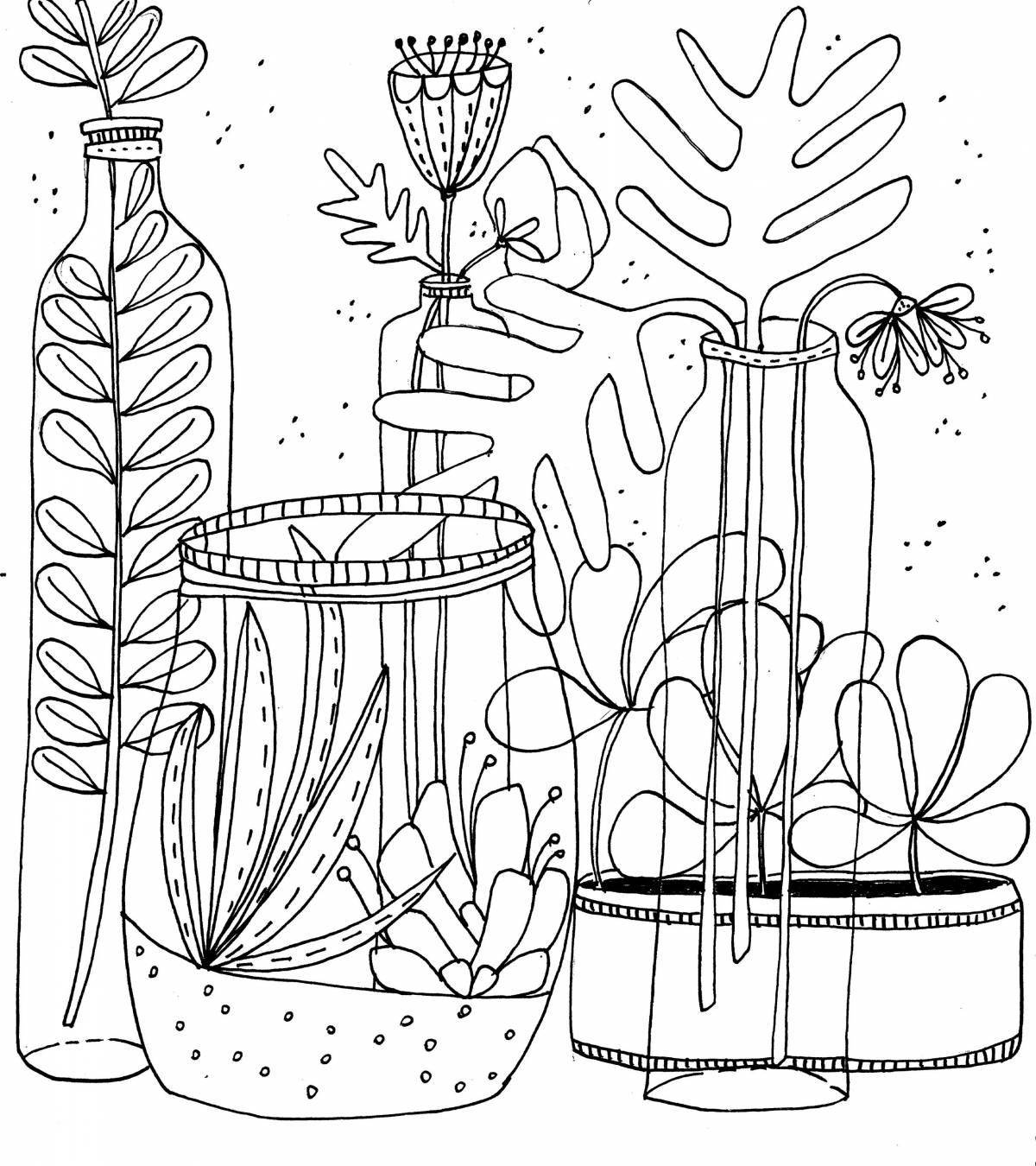 Coloring book shining cactus