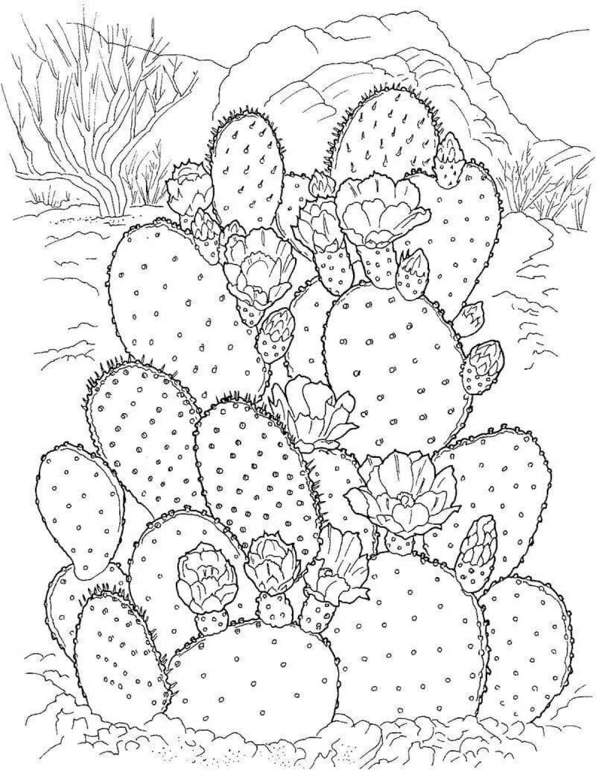 Inspirational cactus coloring book